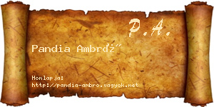 Pandia Ambró névjegykártya